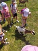 MŠ - Celodenní výlet do Zooparku Zelčín (24. 6. 2025)