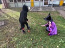 MŠ - Halloween v barevné třídě (24. 10. 2025)
